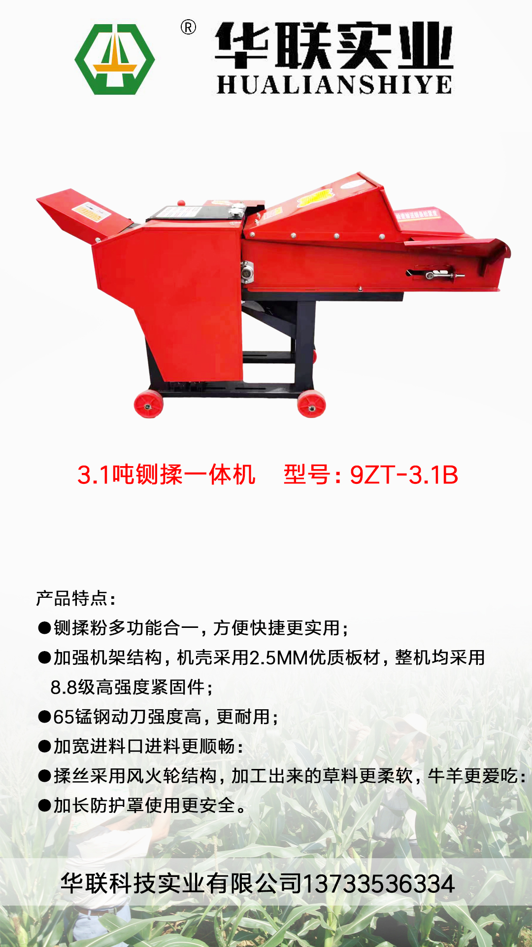 3.1B厲ݙC.jpg